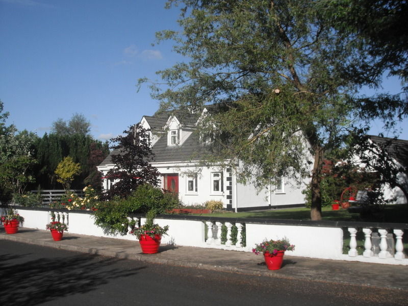 Briar Lodge Bunratty Exteriér fotografie