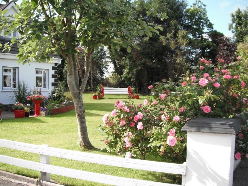 Briar Lodge Bunratty Exteriér fotografie